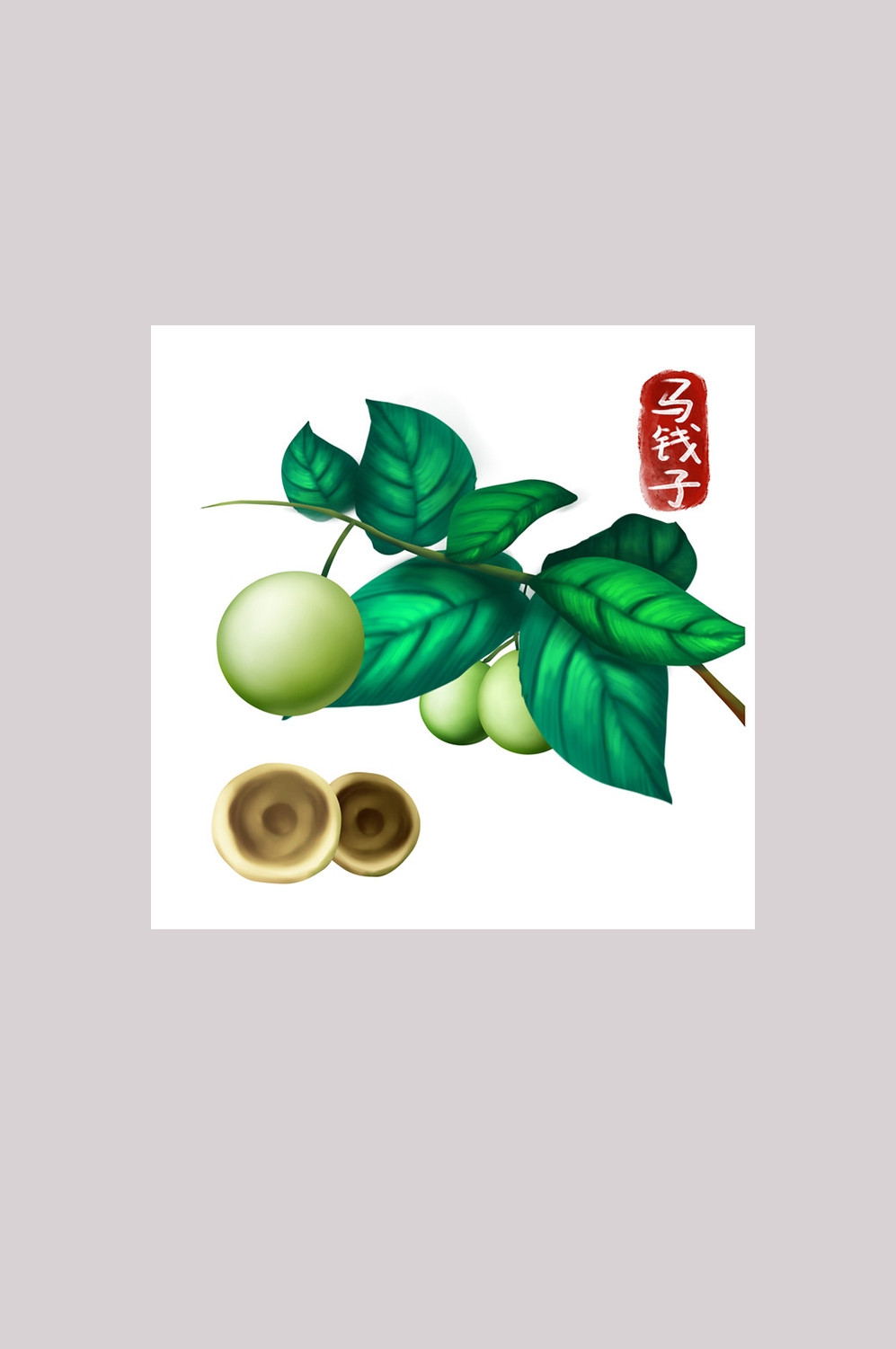 手绘百草植物免抠元素素材74