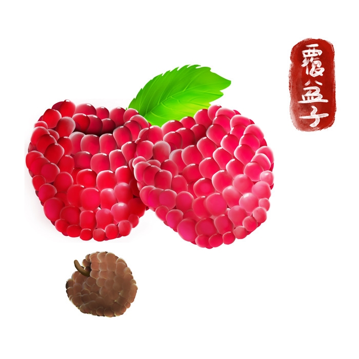 手绘百草植物免抠元素素材94