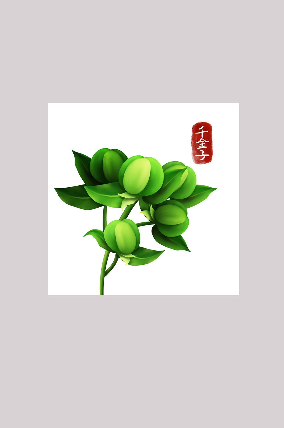 手绘百草植物免抠元素素材49