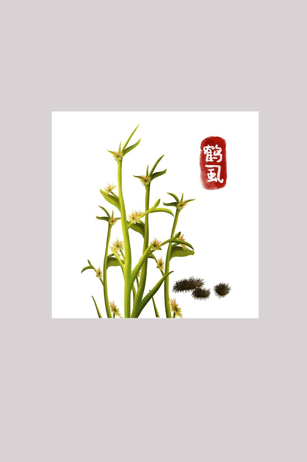 手绘百草植物免抠元素素材95