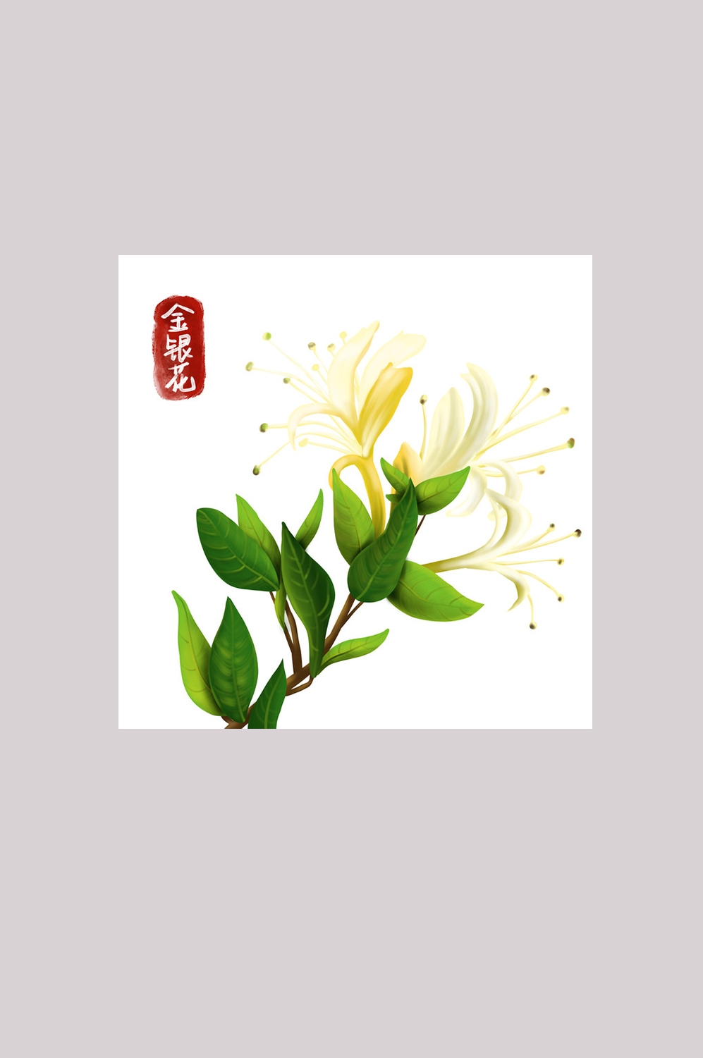 手绘百草植物免抠元素素材2