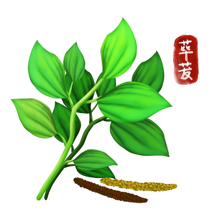 手绘百草植物免抠元素素材77