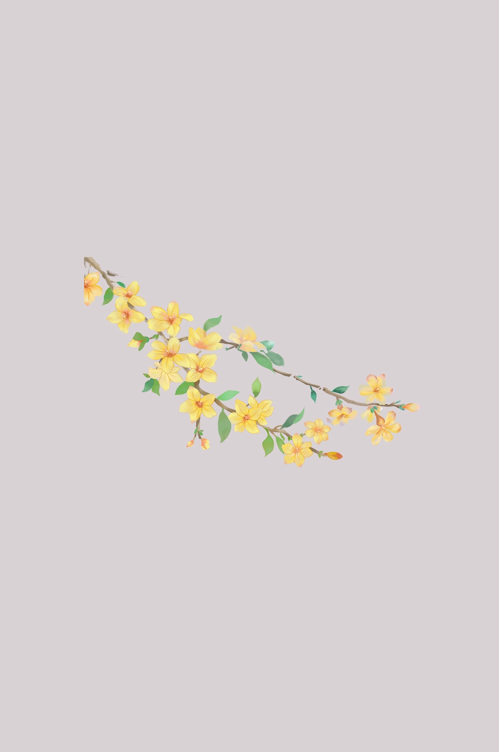 迎春花免抠元素26