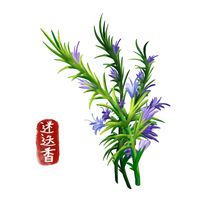 手绘百草植物免抠元素素材44