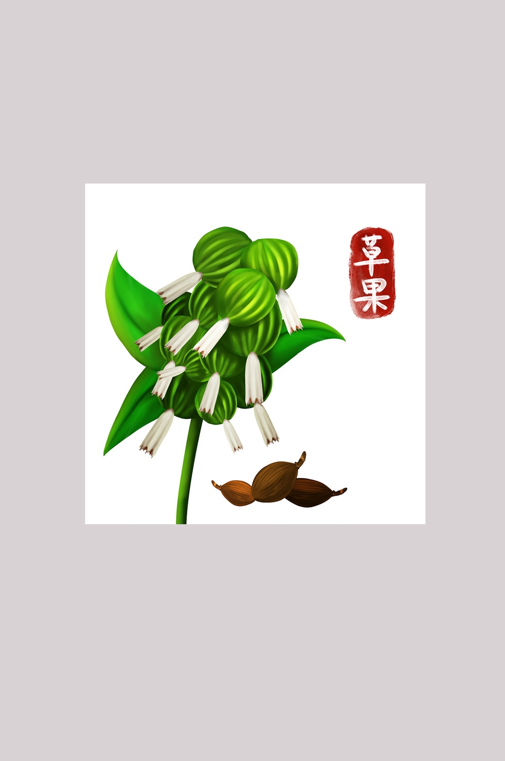 手绘百草植物免抠元素素材46