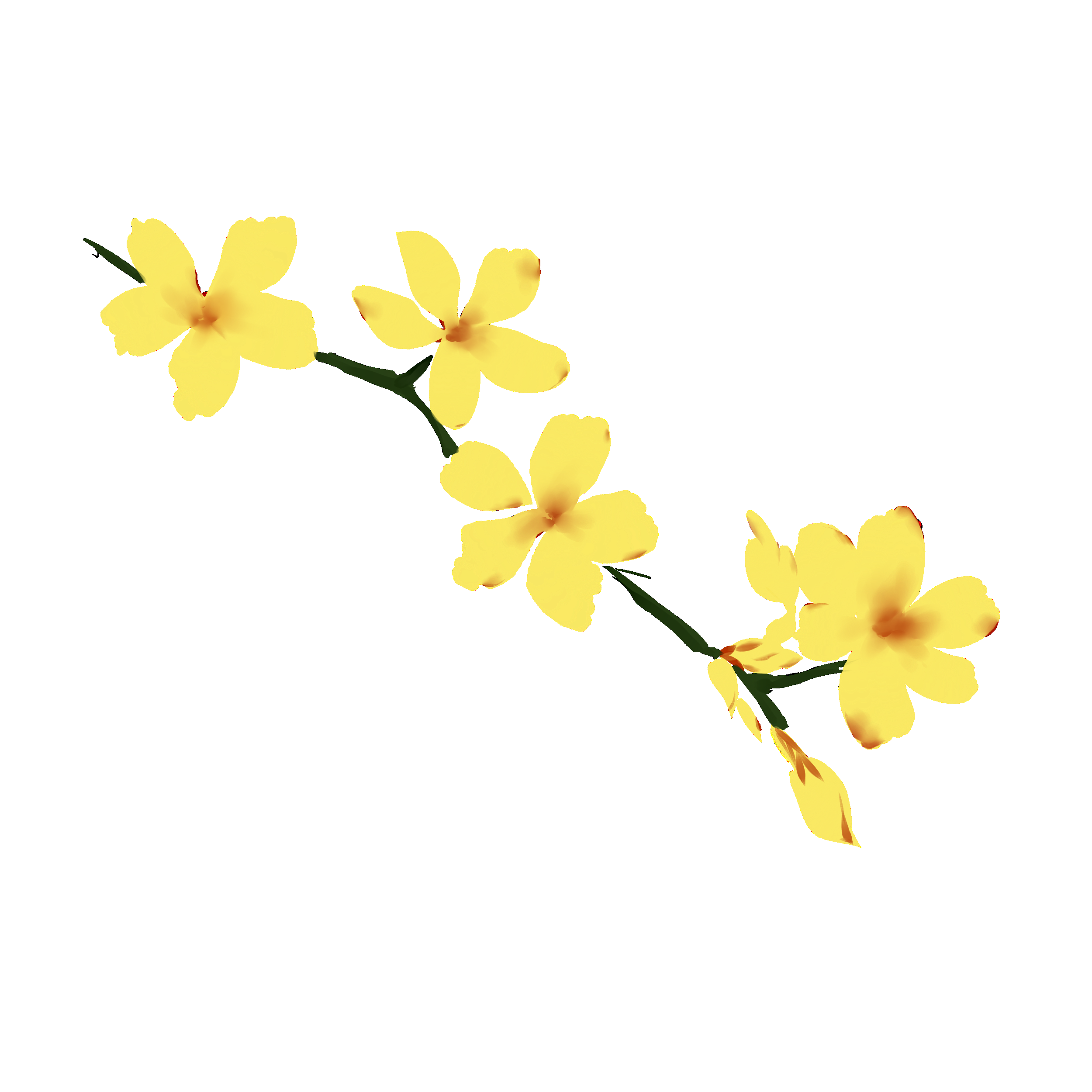 迎春花免抠元素34