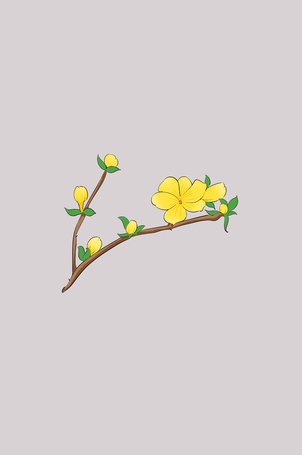迎春花免抠元素30