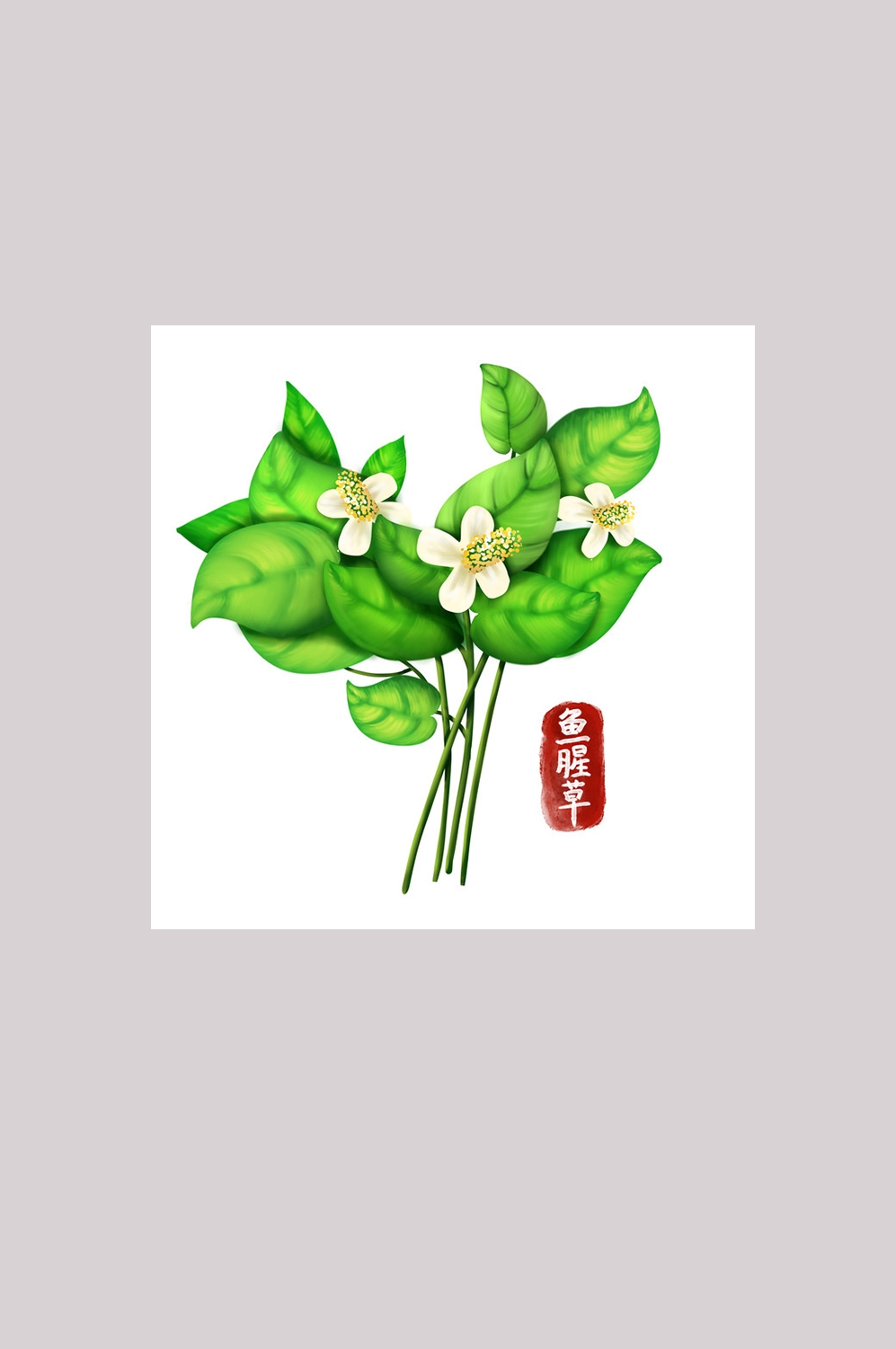 手绘百草植物免抠元素素材9