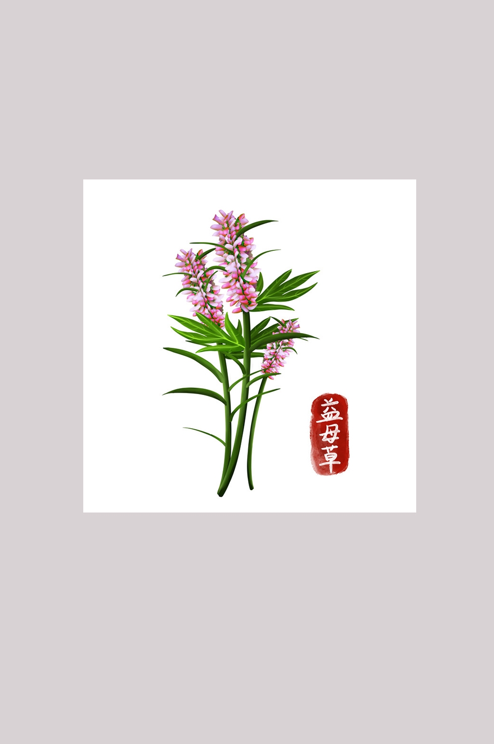 手绘百草植物免抠元素素材18