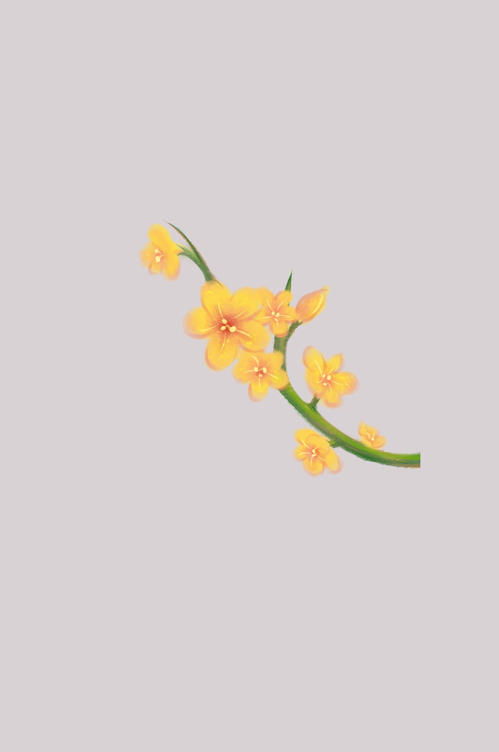 迎春花免抠元素43