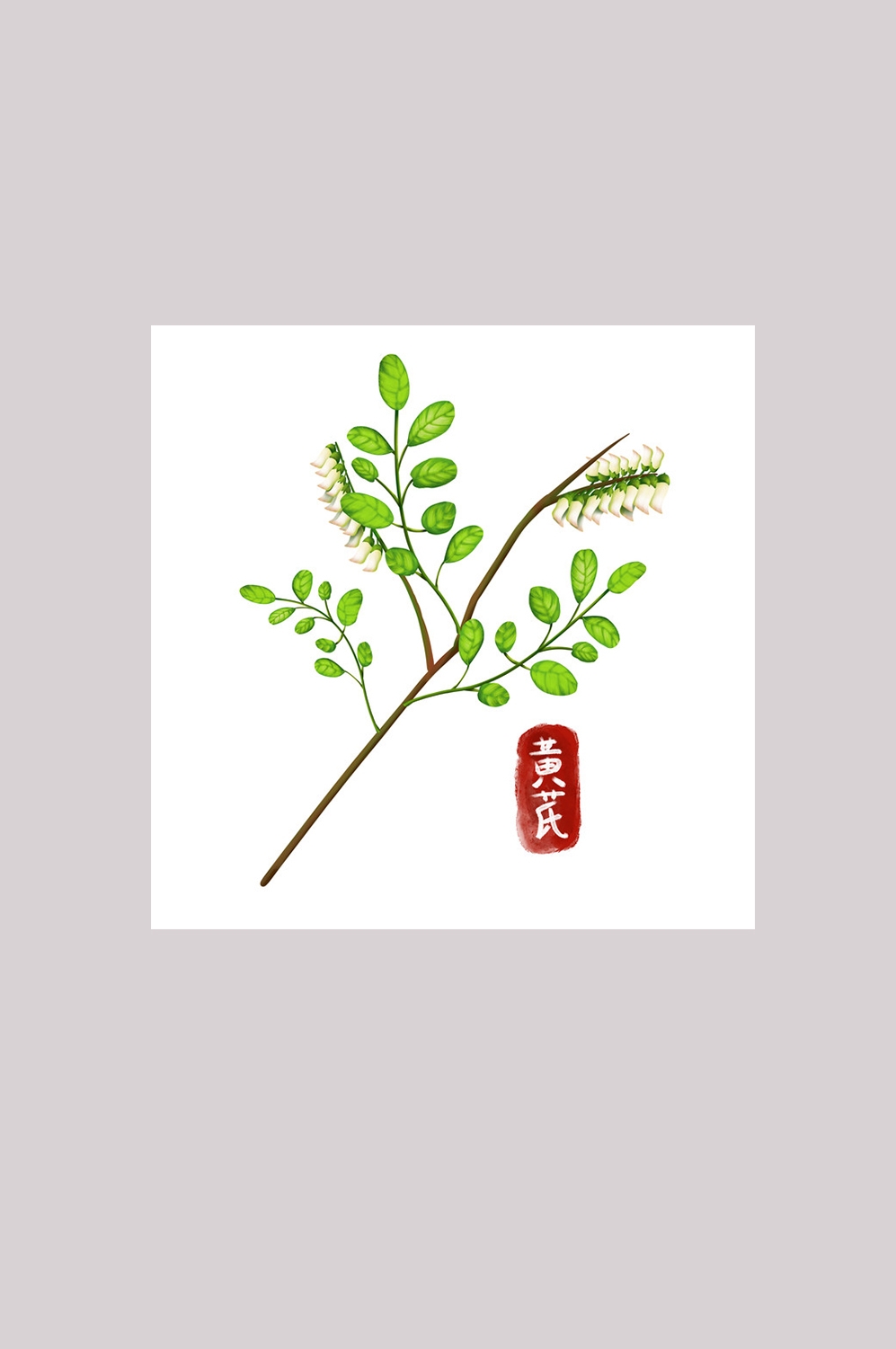 手绘百草植物免抠元素素材10
