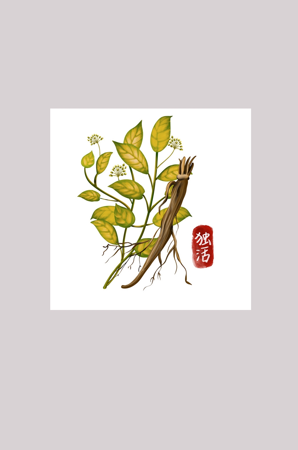 手绘百草植物免抠元素素材38