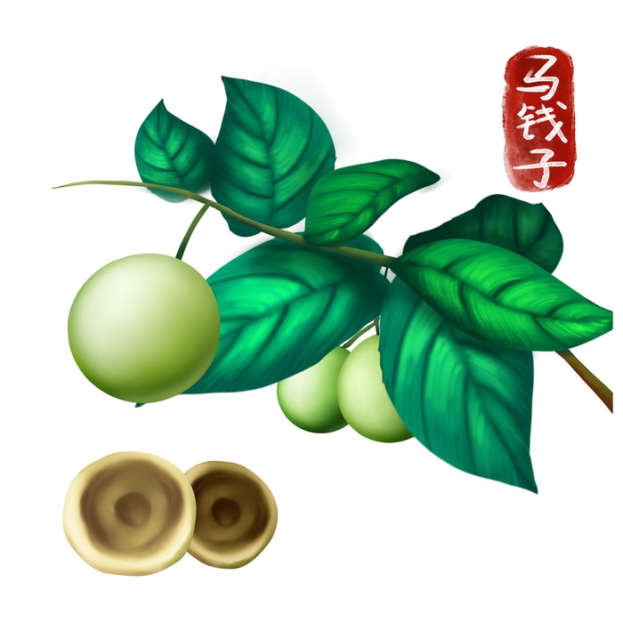 手绘百草植物免抠元素素材74