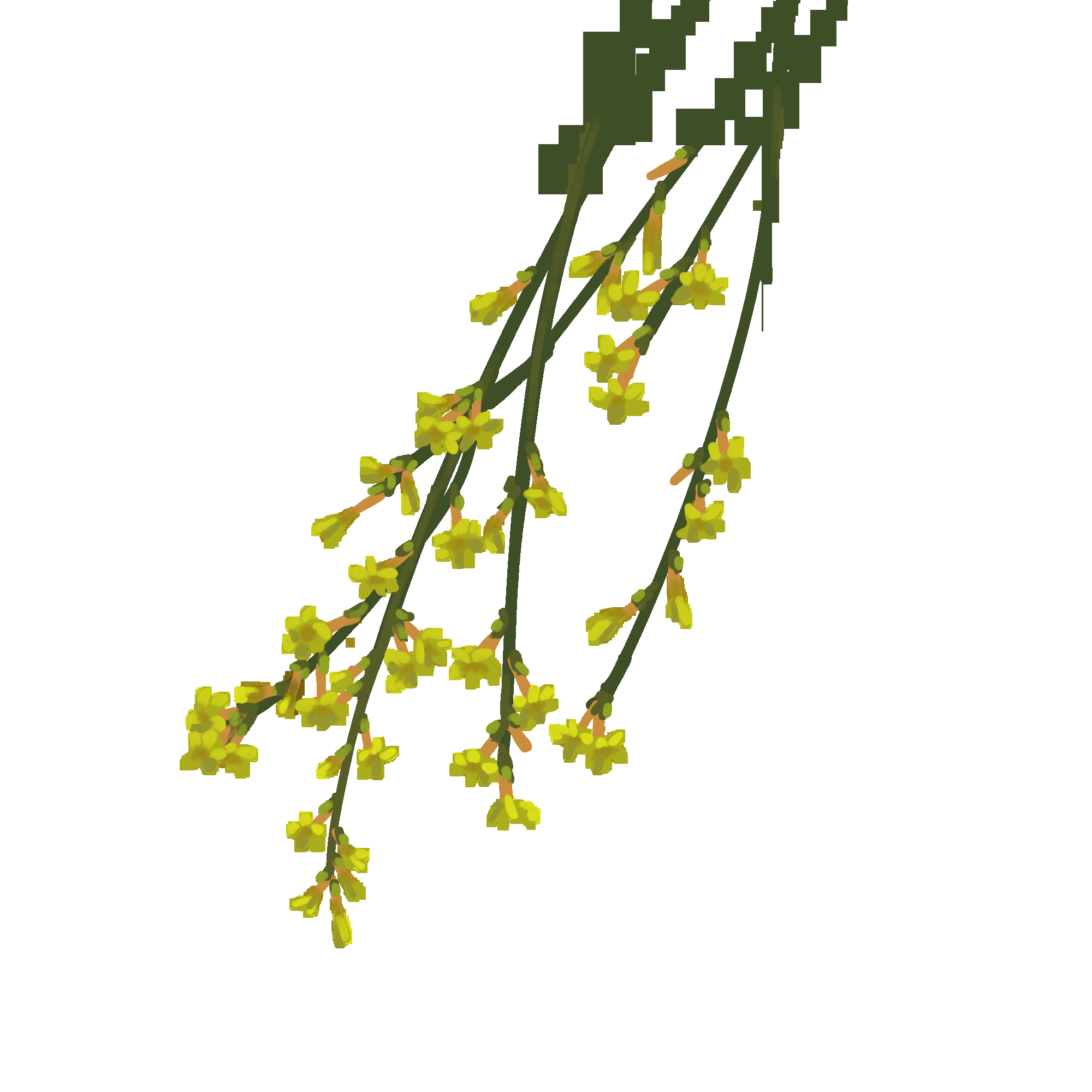 迎春花免抠元素39