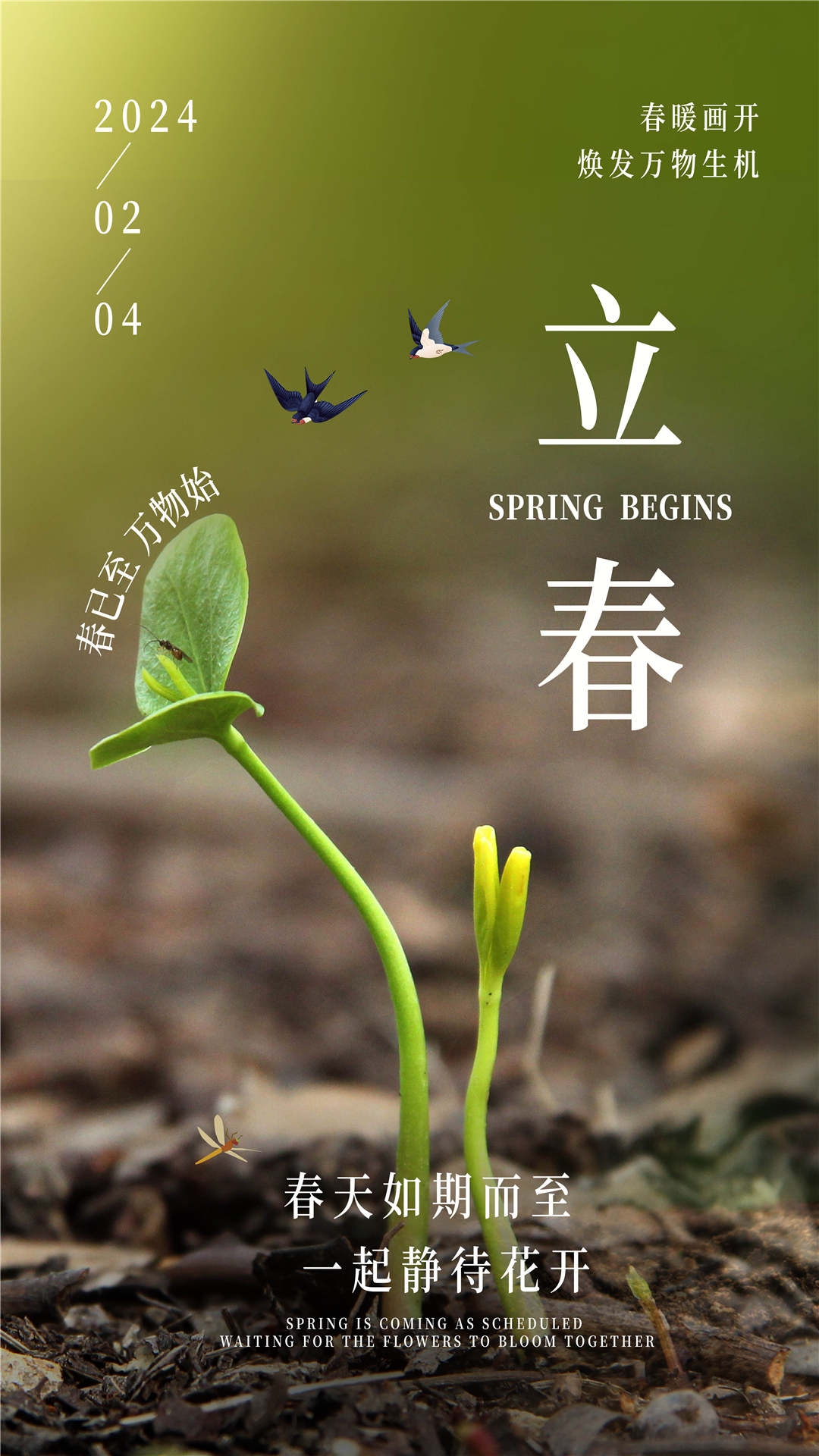 简约创意中国传统节日二十四节气立春海报设计素材14