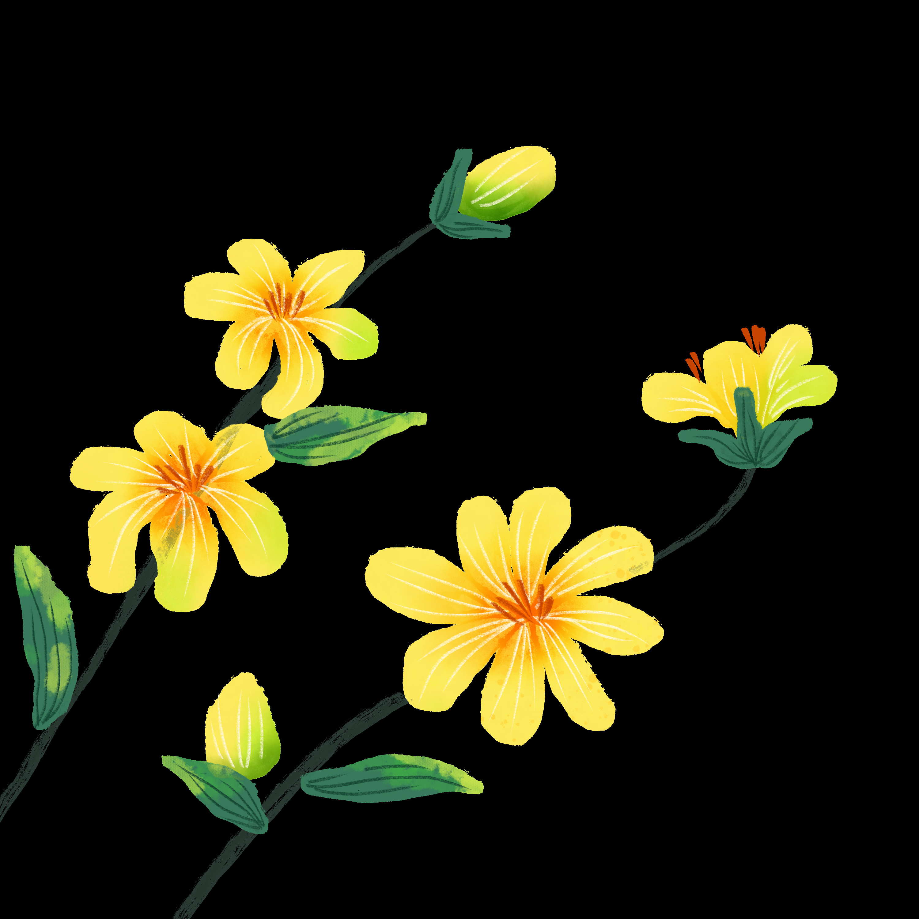 迎春花免抠元素2