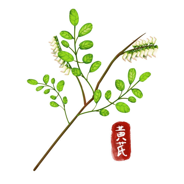 手绘百草植物免抠元素素材10
