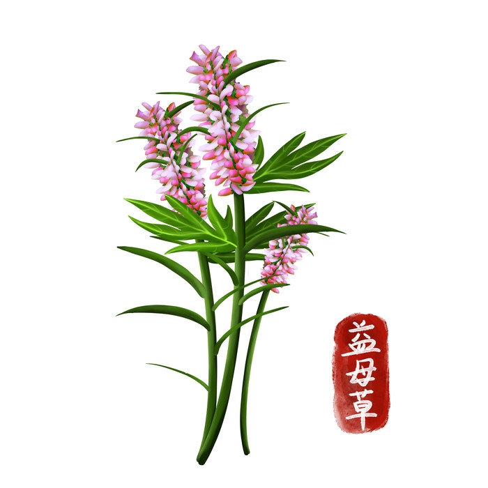 手绘百草植物免抠元素素材18
