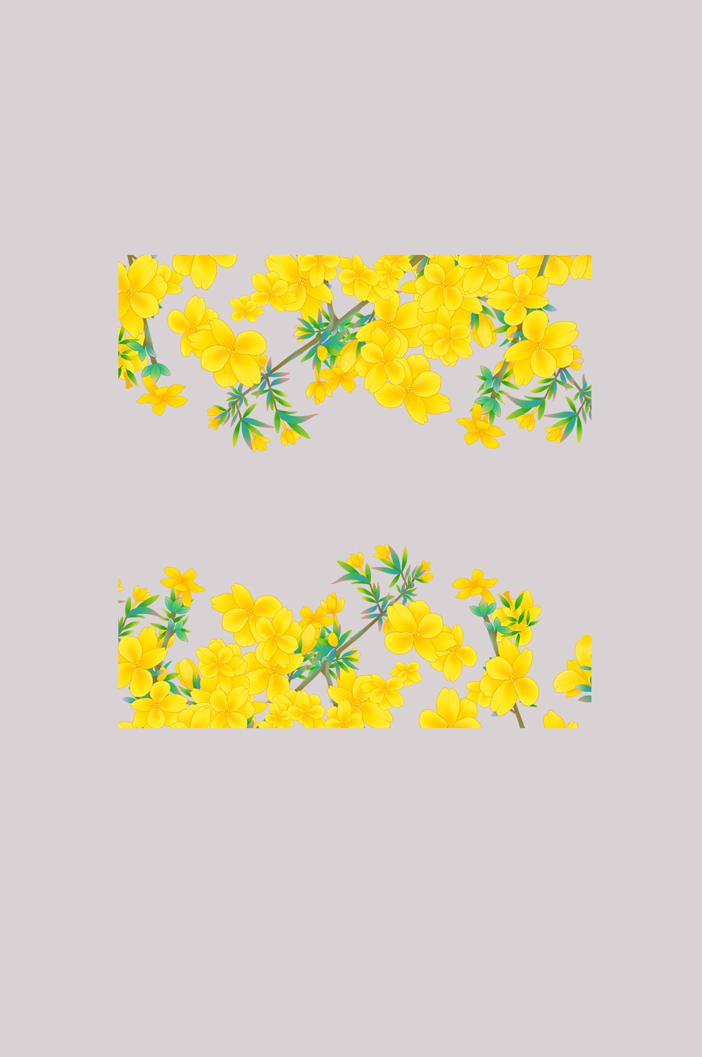 迎春花免抠元素20