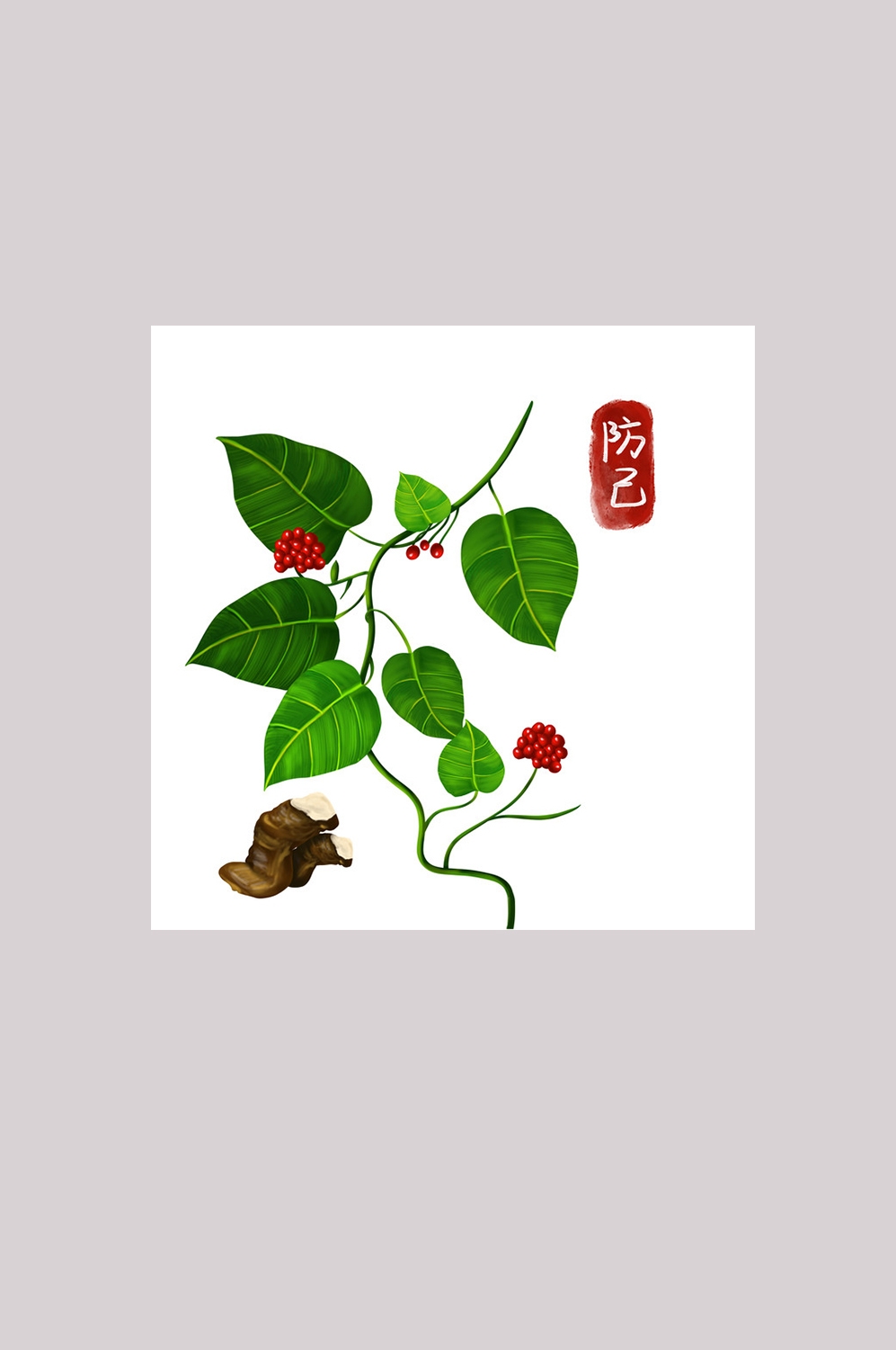 手绘百草植物免抠元素素材15