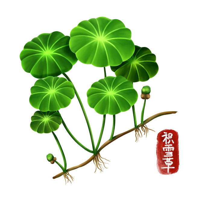 手绘百草植物免抠元素素材11
