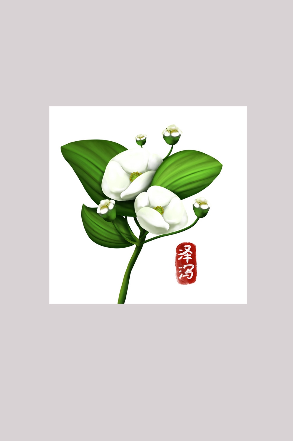 手绘百草植物免抠元素素材23