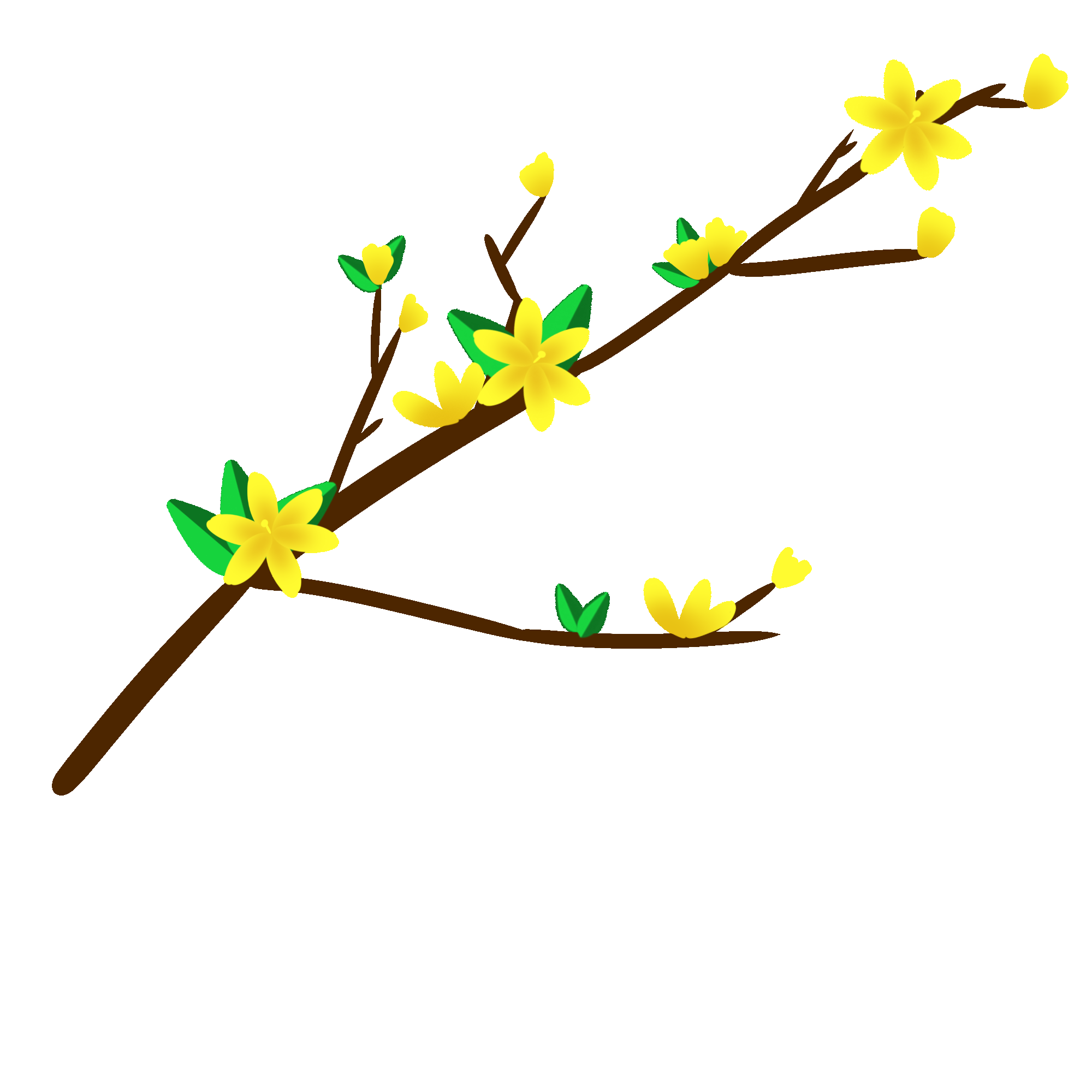 迎春花免抠元素6