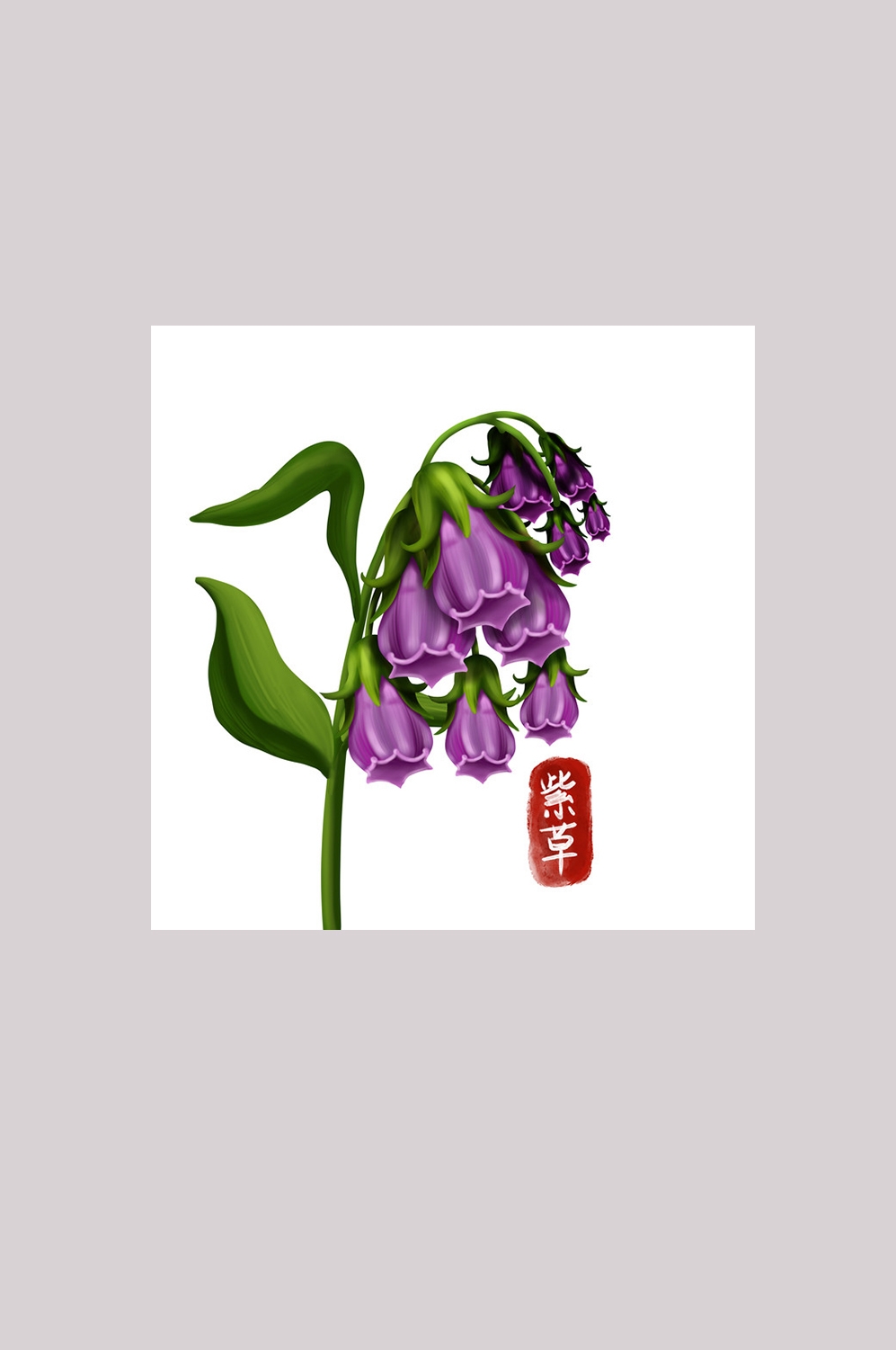 手绘百草植物免抠元素素材37