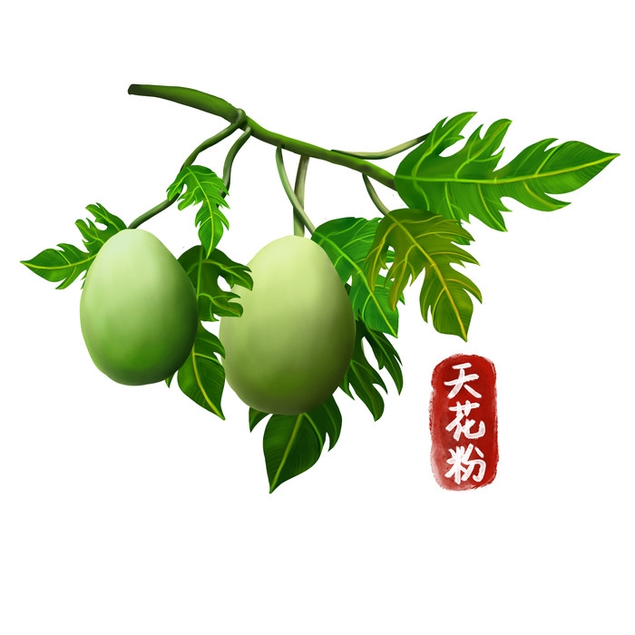 手绘百草植物免抠元素素材13