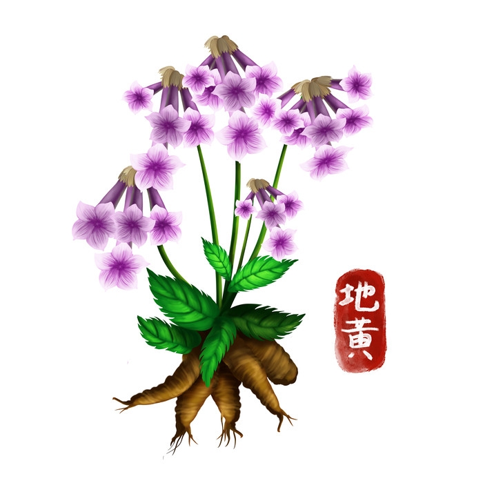 手绘百草植物免抠元素素材41