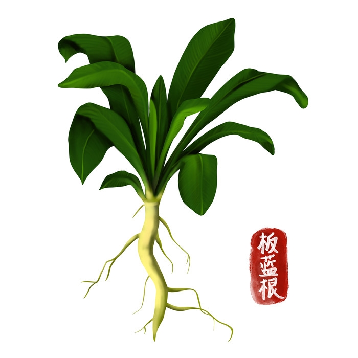 手绘百草植物免抠元素素材3