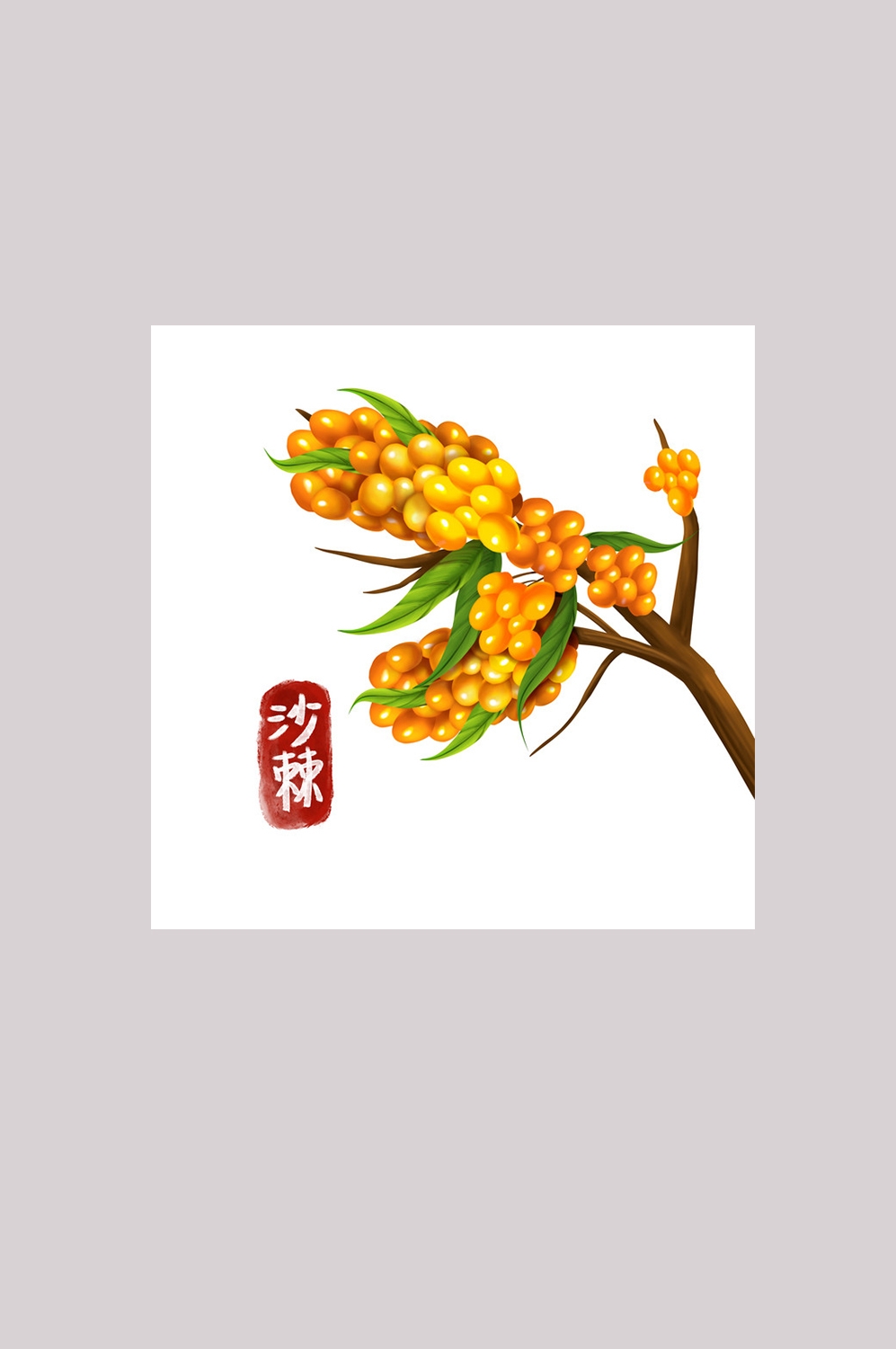 手绘百草植物免抠元素素材45