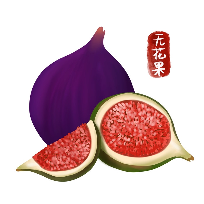 手绘百草植物免抠元素素材73