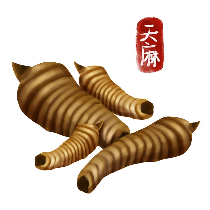 手绘百草植物免抠元素素材39