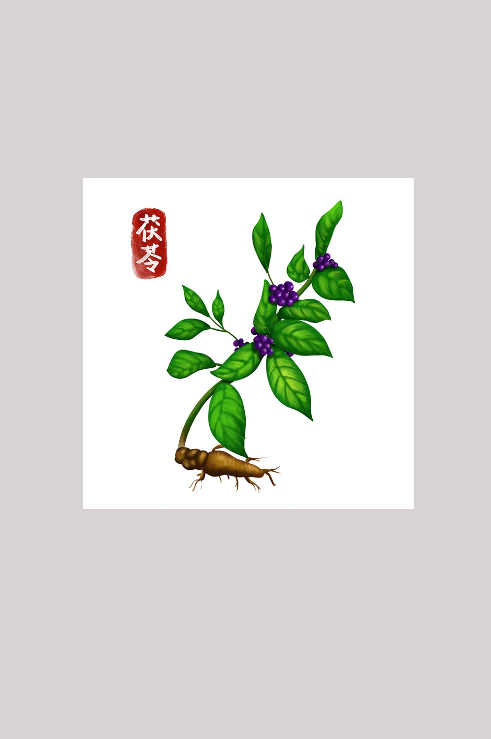 手绘百草植物免抠元素素材4