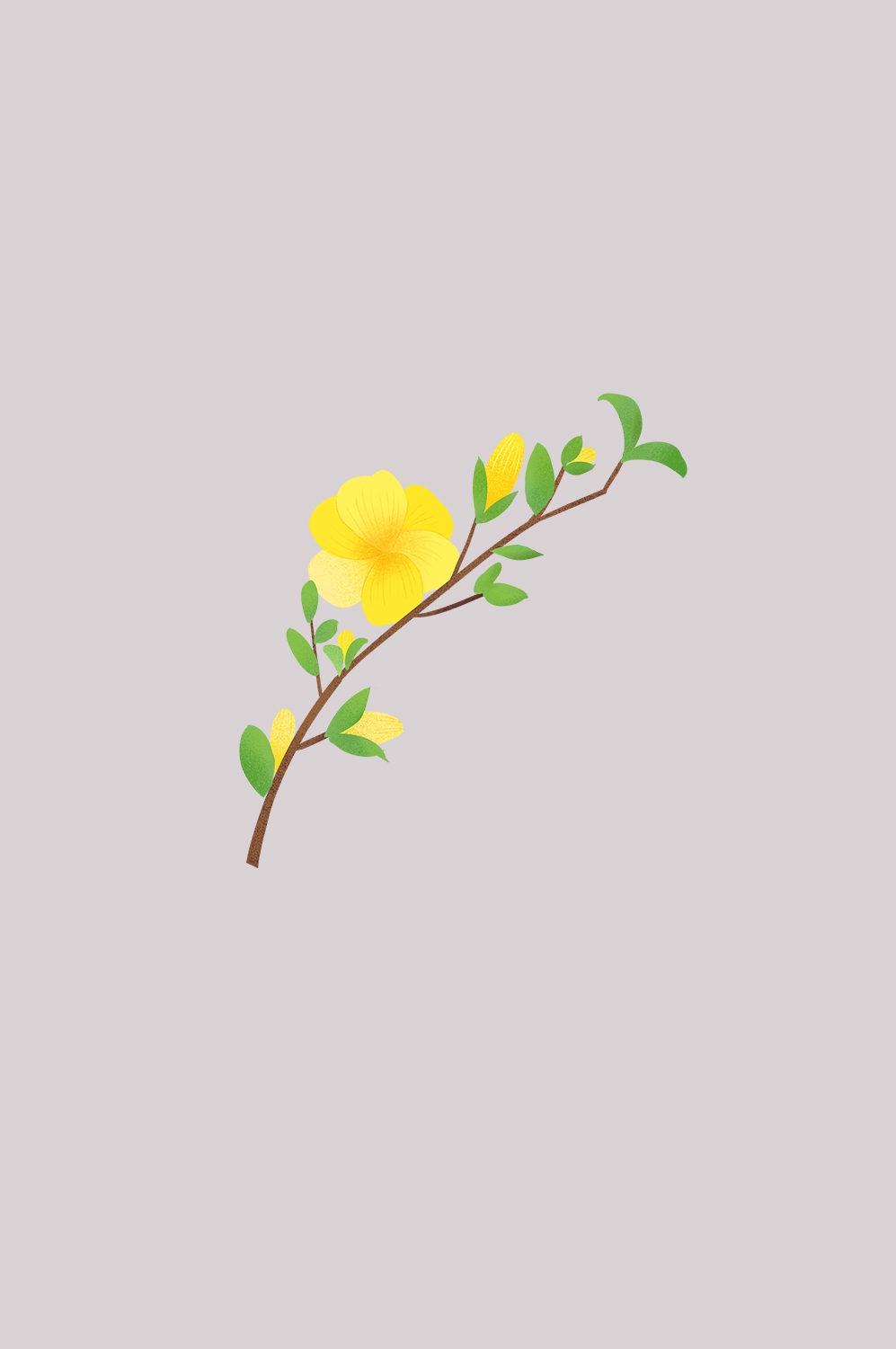 迎春花免抠元素31