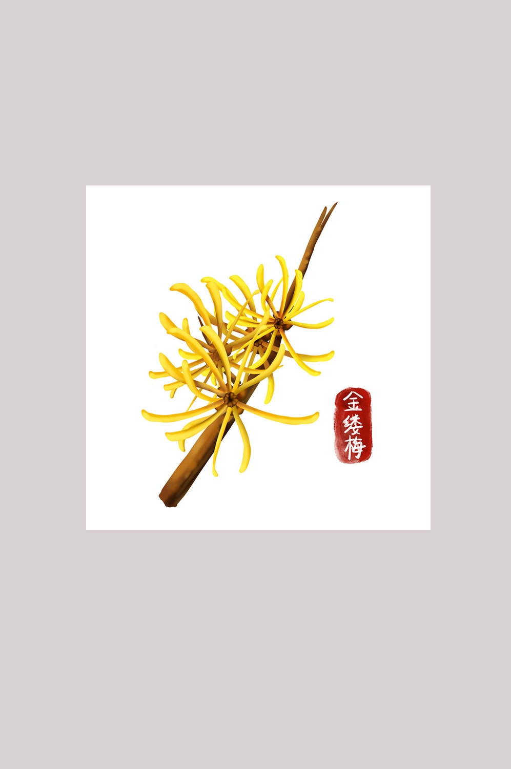 手绘百草植物免抠元素素材26