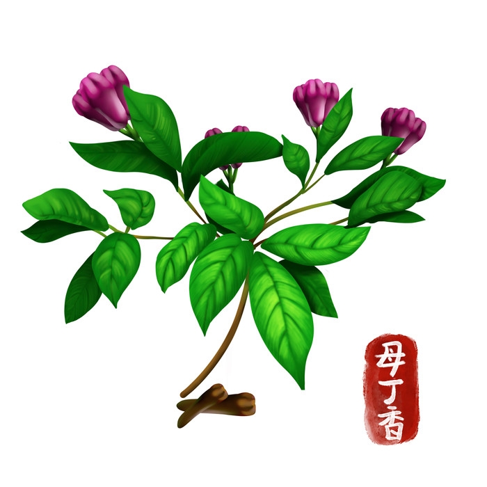 手绘百草植物免抠元素素材78