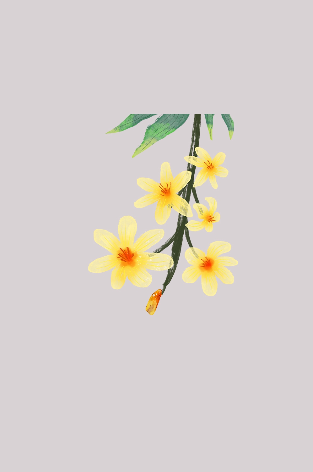 迎春花免抠元素3