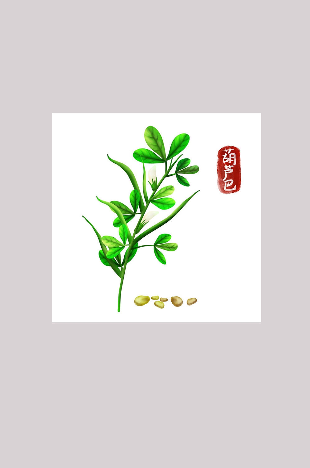 手绘百草植物免抠元素素材80