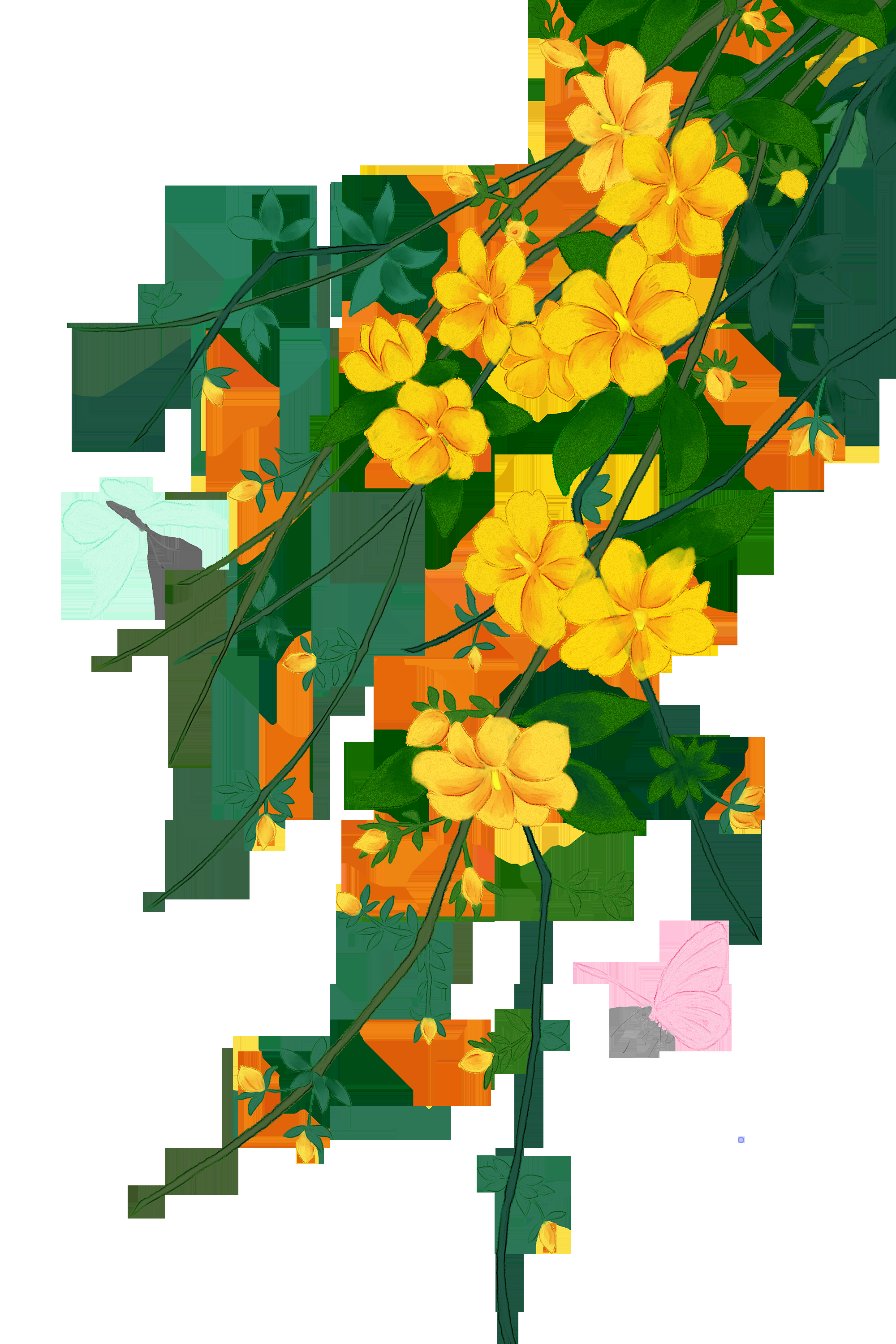 迎春花免抠元素27