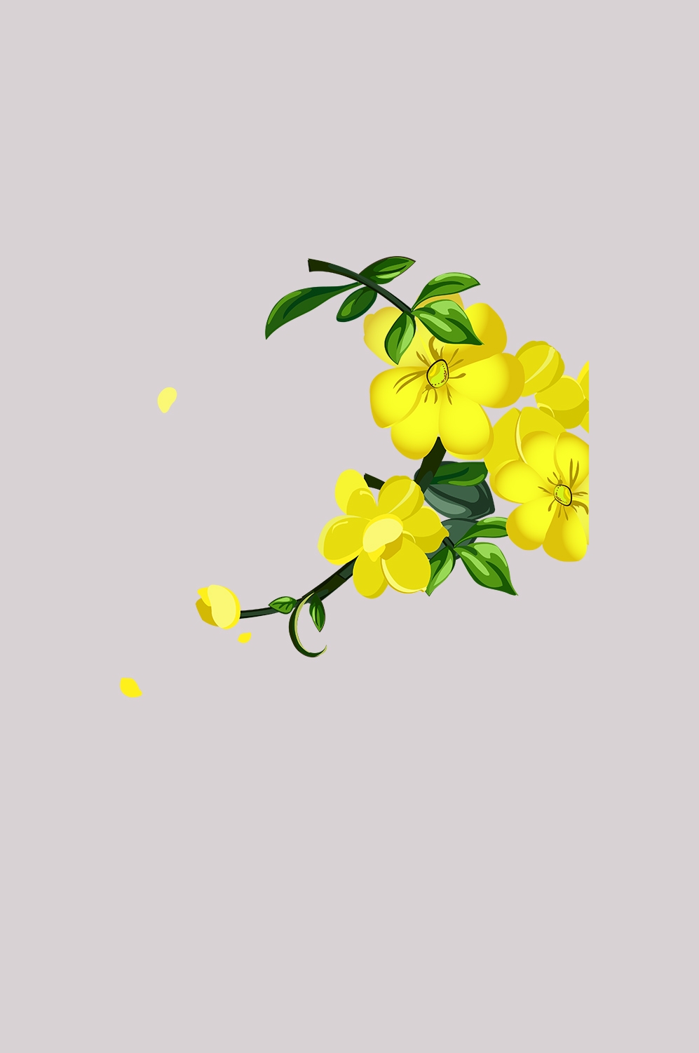 迎春花免抠元素45