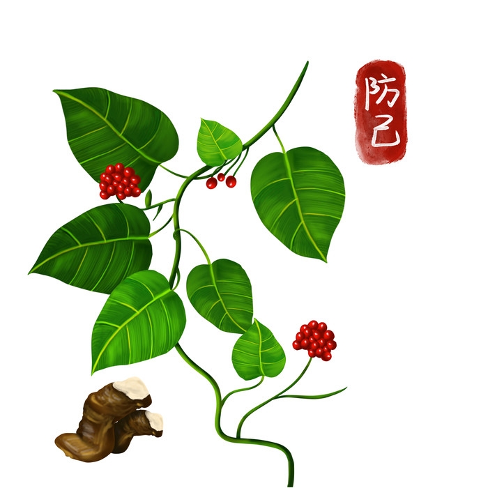 手绘百草植物免抠元素素材15