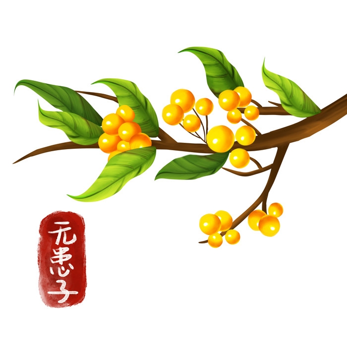 手绘百草植物免抠元素素材76