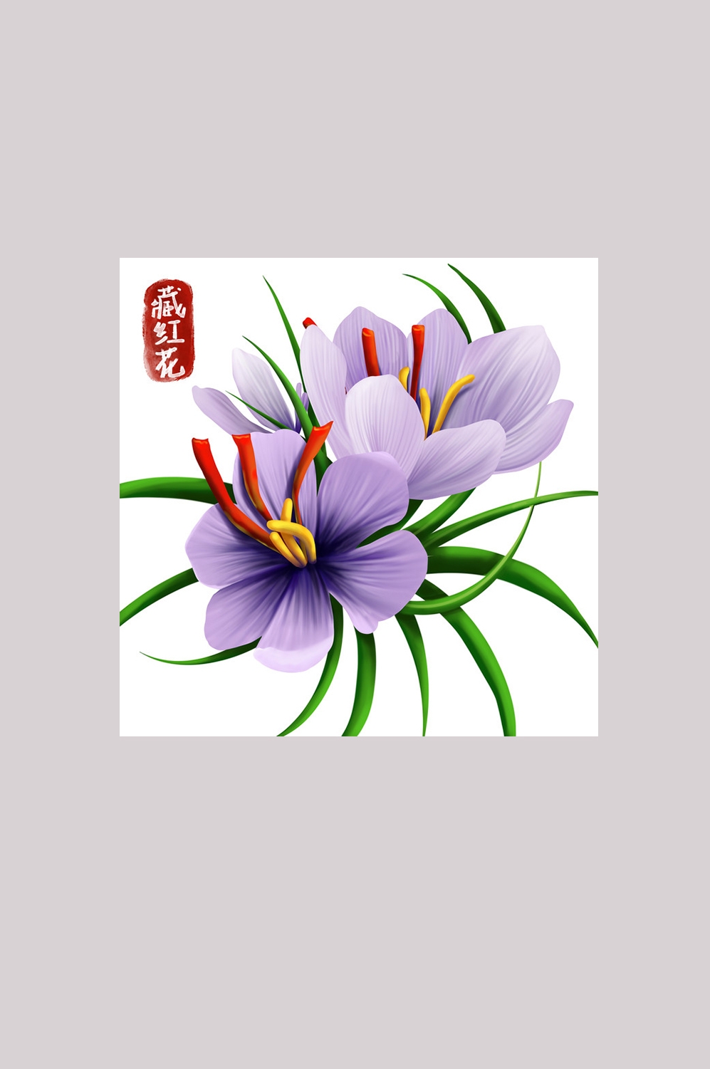 手绘百草植物免抠元素素材8