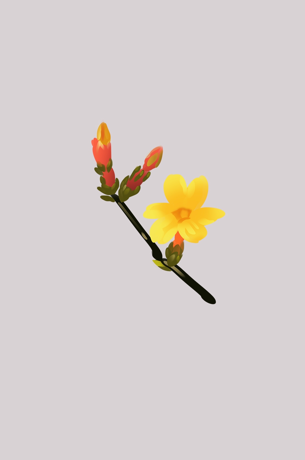 迎春花免抠元素48