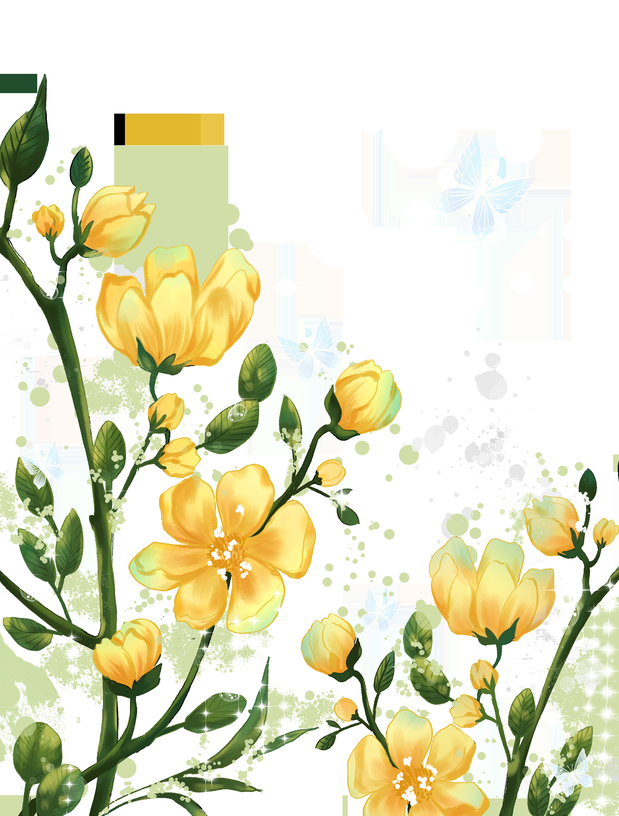 迎春花免抠元素46