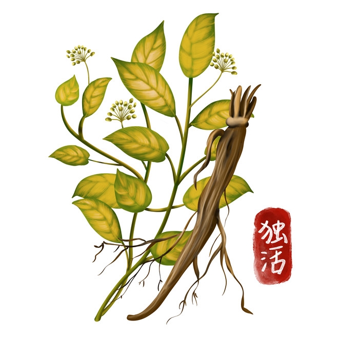 手绘百草植物免抠元素素材38