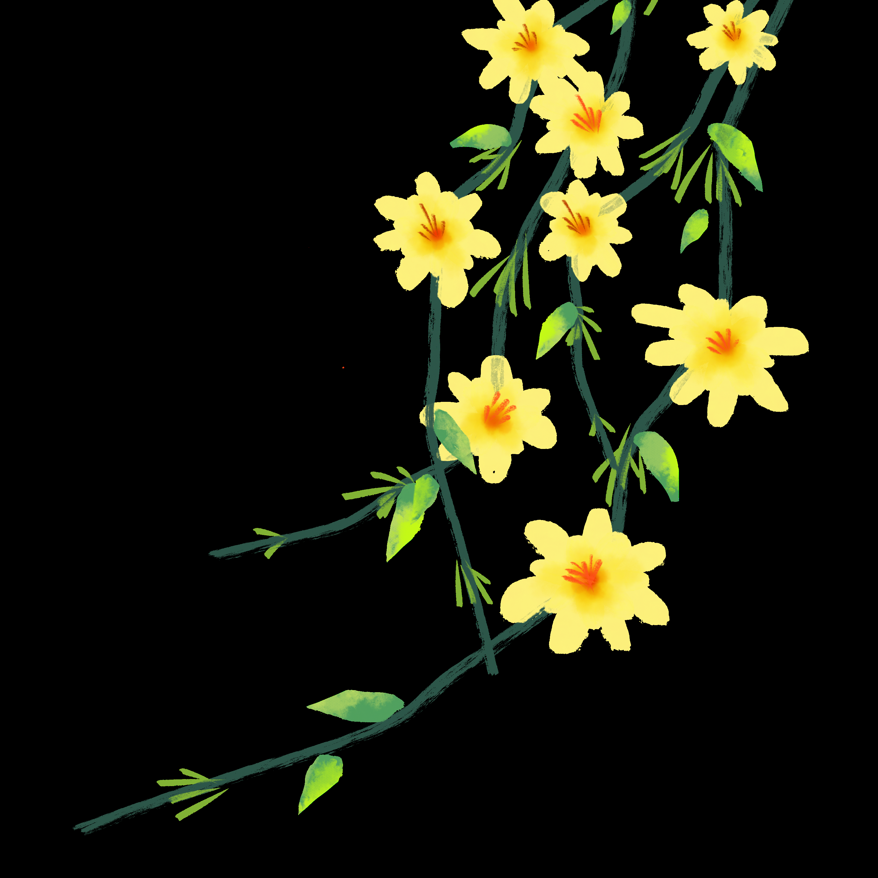 迎春花免抠元素5