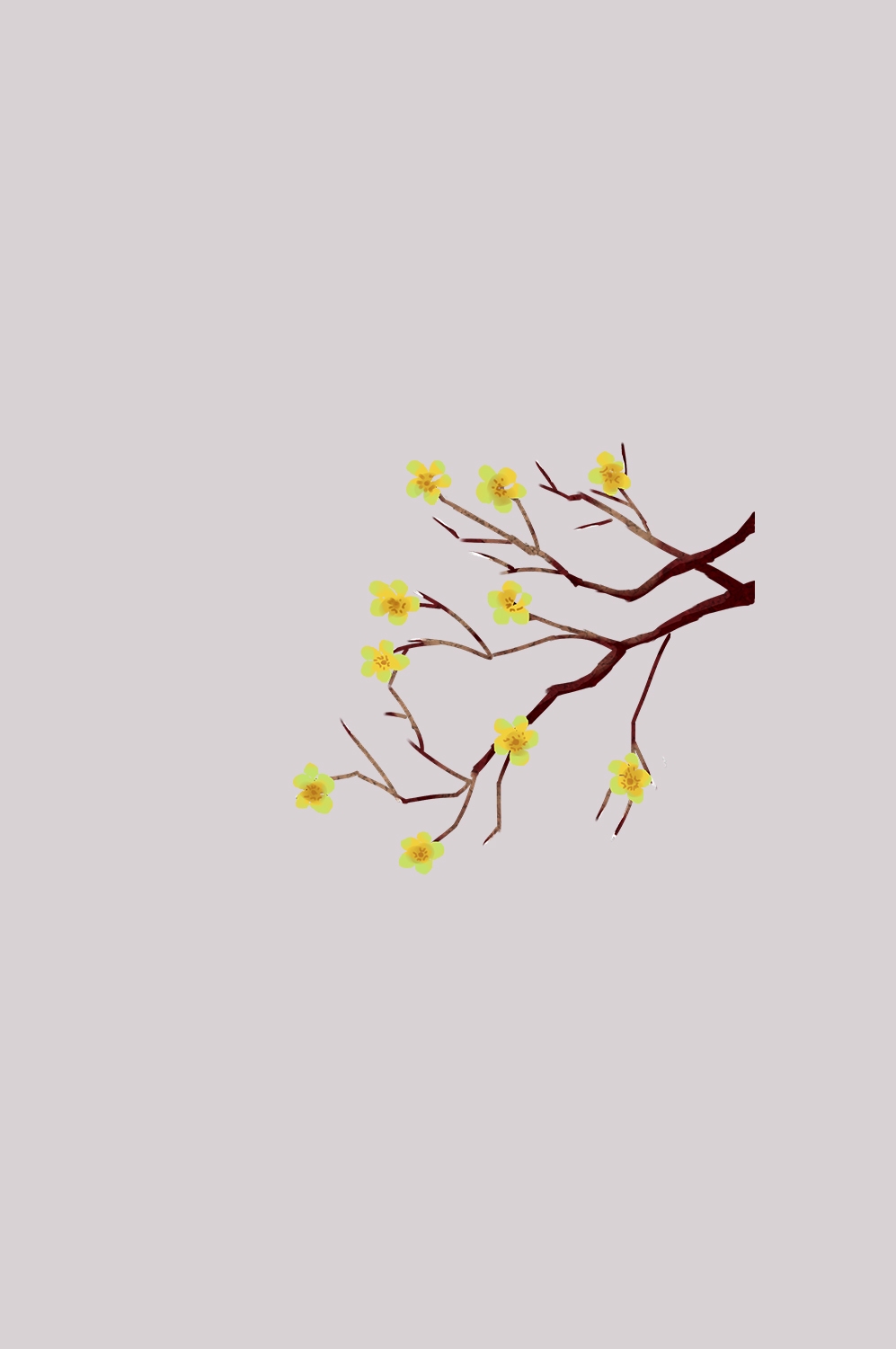 迎春花免抠元素1